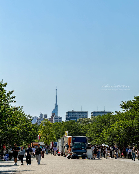 IMG_6939