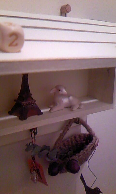 トイロイロ ***happy color life***-100110_0121~02.jpg