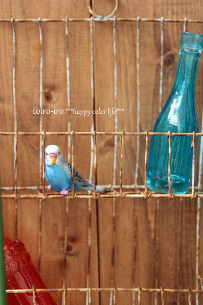 トイロイロ ***happy color life***-ベランダ菜園