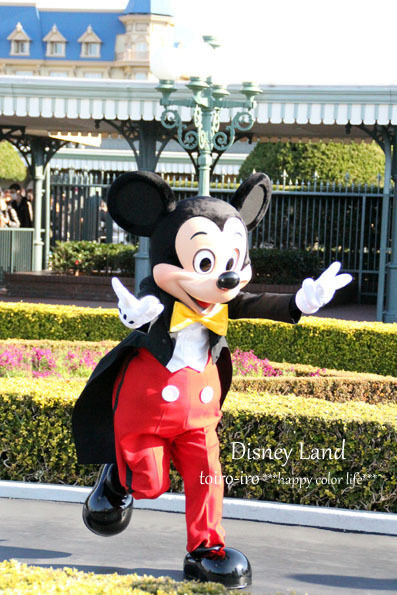トイロイロ ***happy color life***-2012　ディズニーランド