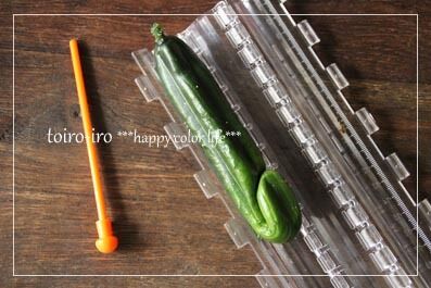 トイロイロ ***happy color life***-星型きゅうり