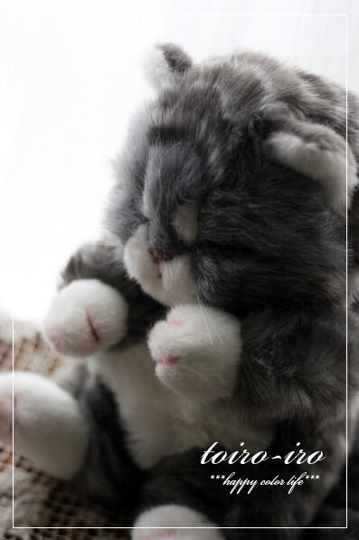 トイロイロ ***happy color life***-yume's