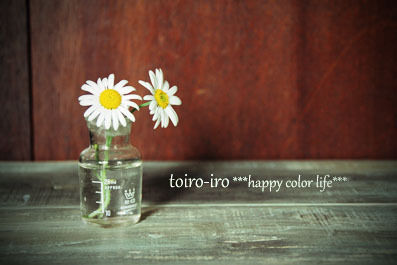 トイロイロ ***happy color life***-マーガレット