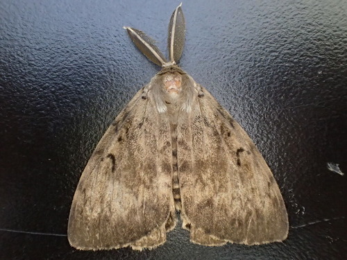P6281092