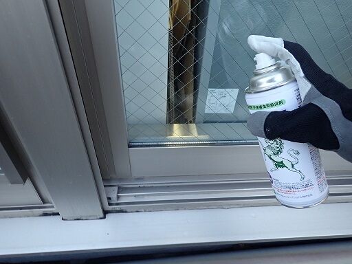 アオバアリガタハネカクシ 虫捕りたちのつぶやき