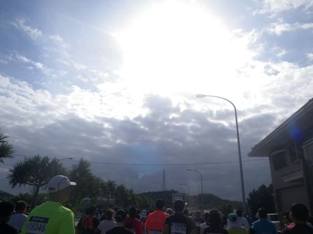 IMGP9581