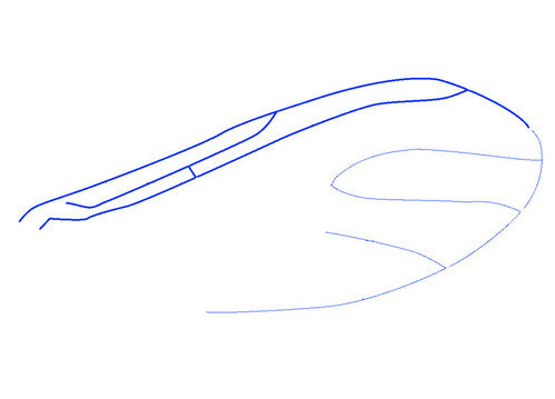 kurobane-wing