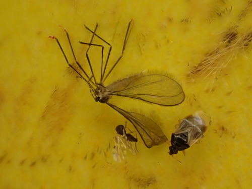 P5011058