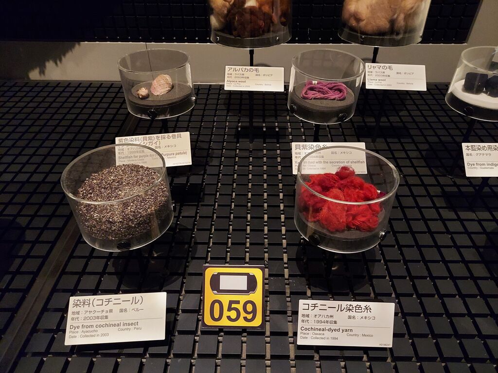 みんぱくぱくですわ 虫捕りたちのつぶやき