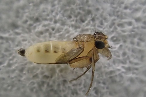 P8200704