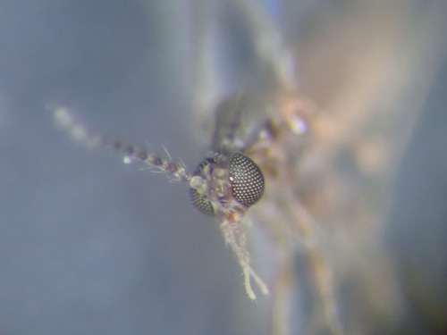 P4040025