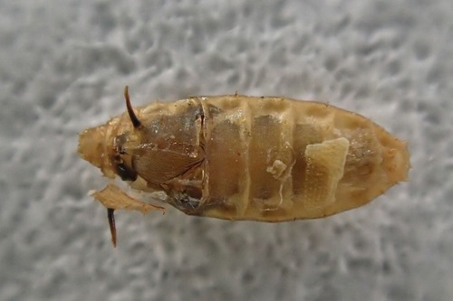 P8200700