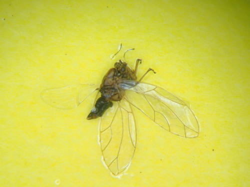 P4120018