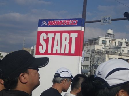 IMGP6955������������