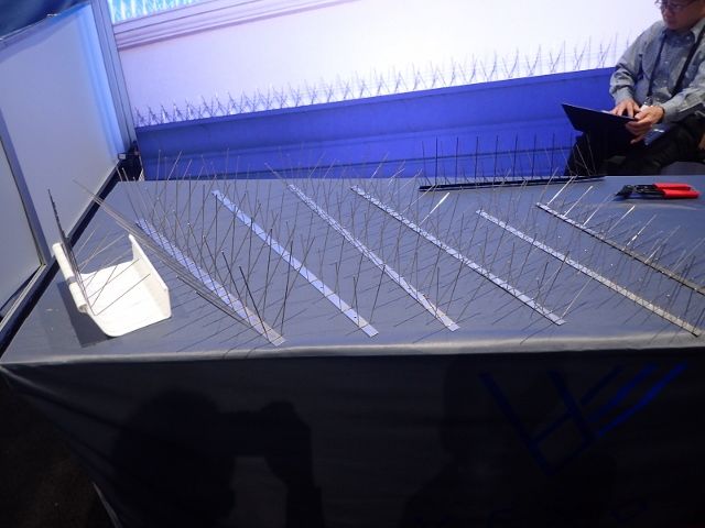 PA170125 (640x480)