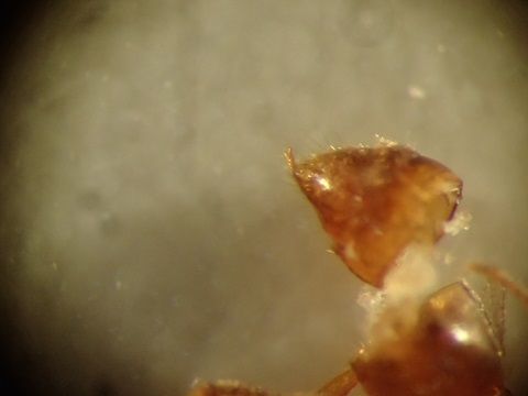 P7310496