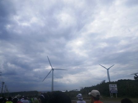 IMGP9601