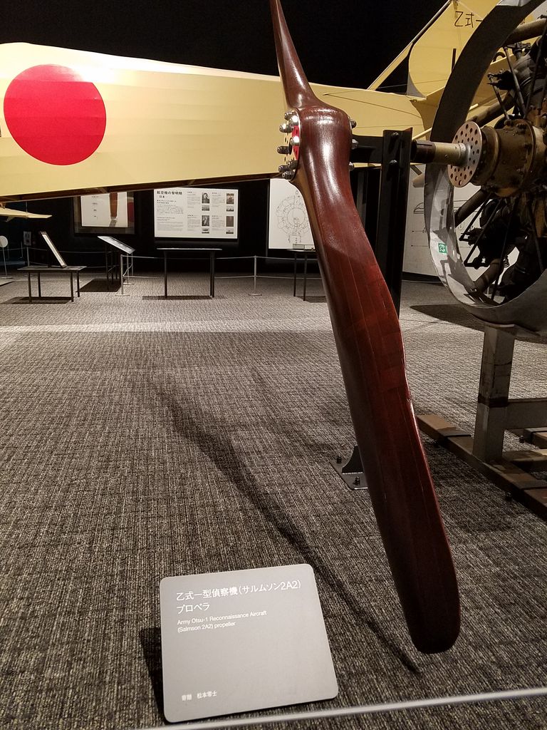 青い空と飛行機 虫捕りたちのつぶやき 青い空と飛行機 虫捕りたちのつぶやき