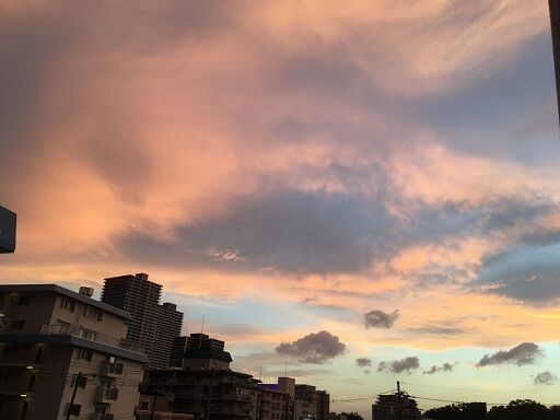 Image from iOS (1)