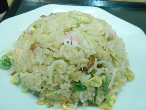 DSCN2955