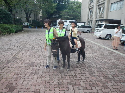 DSCN1629ttt