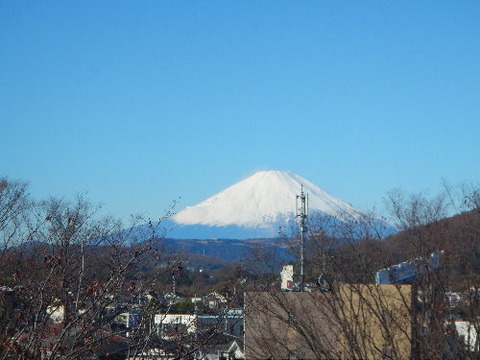 DSCN0658ppp
