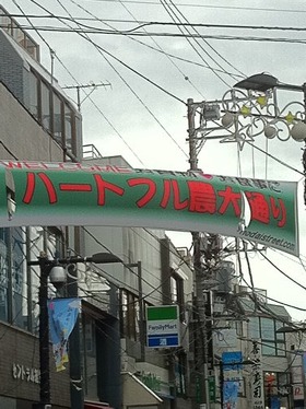 IMG_3063ppp