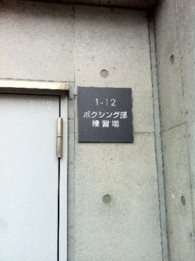 IMG_3206ppp