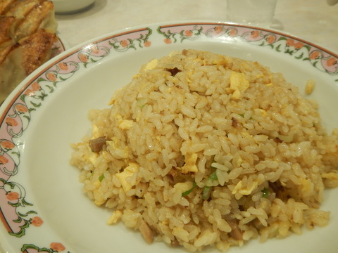 DSCN3044