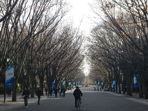 DSCN2097ppp