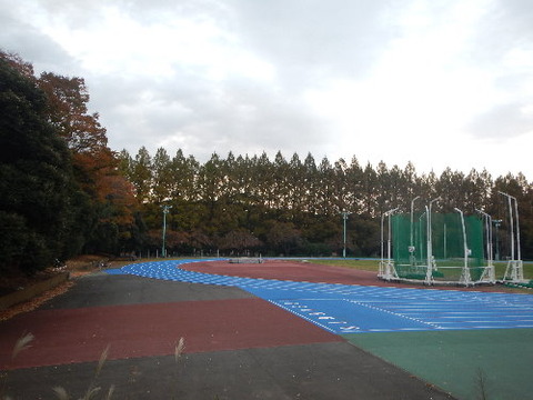 DSCN1961ppp