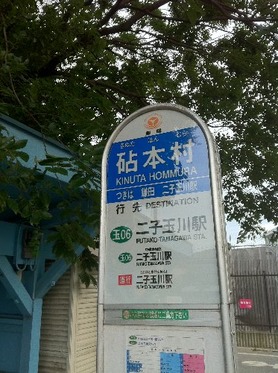 IMG_3208ppp