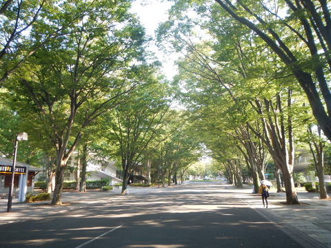 DSCN2924