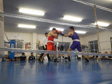 DSCN2623ppp