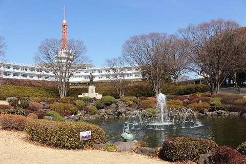 IMG_3570ppp