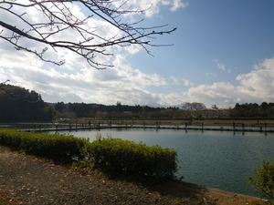 IMGP0968