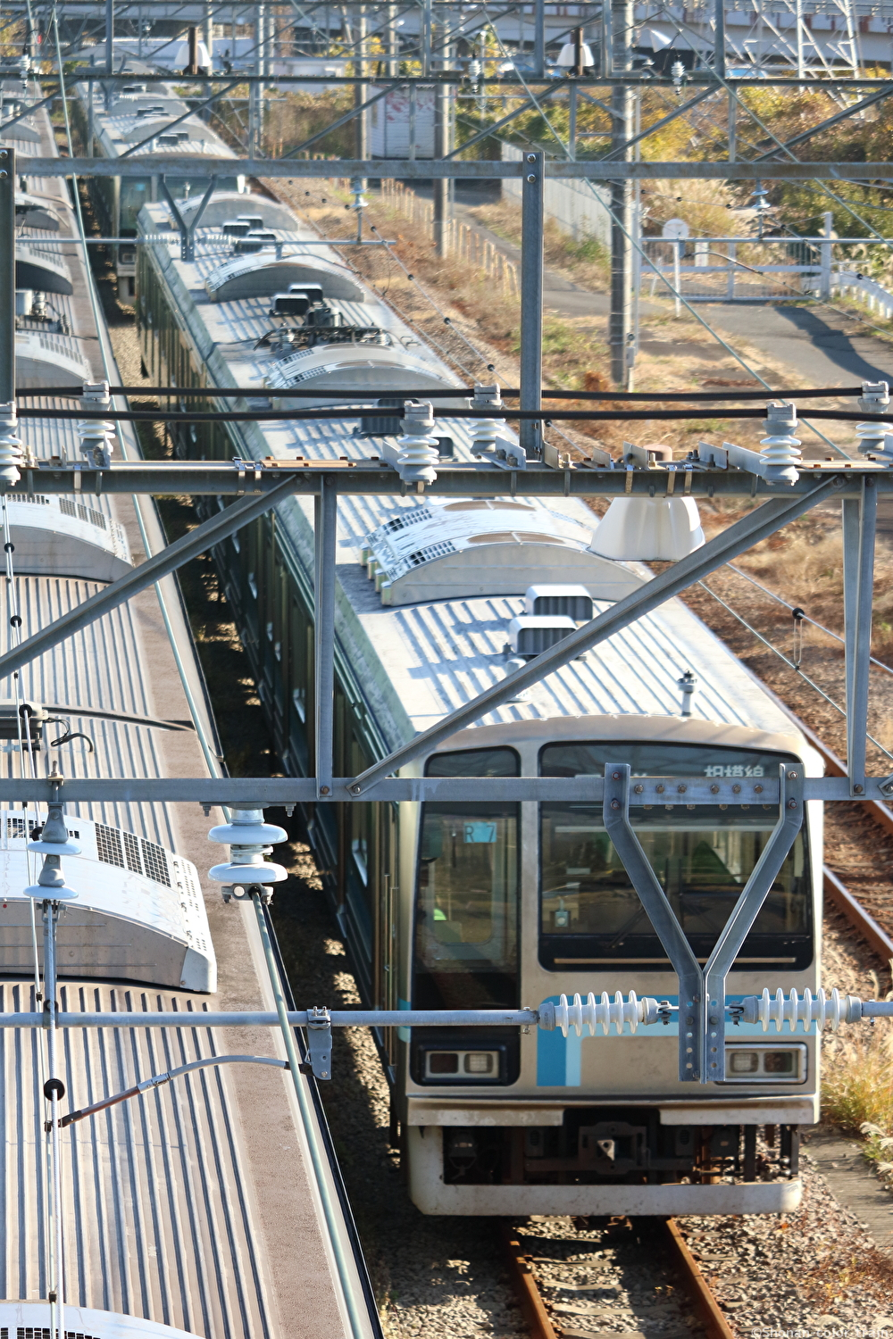 o6i1ZU6EfNVmX2I1640496992_1640497042