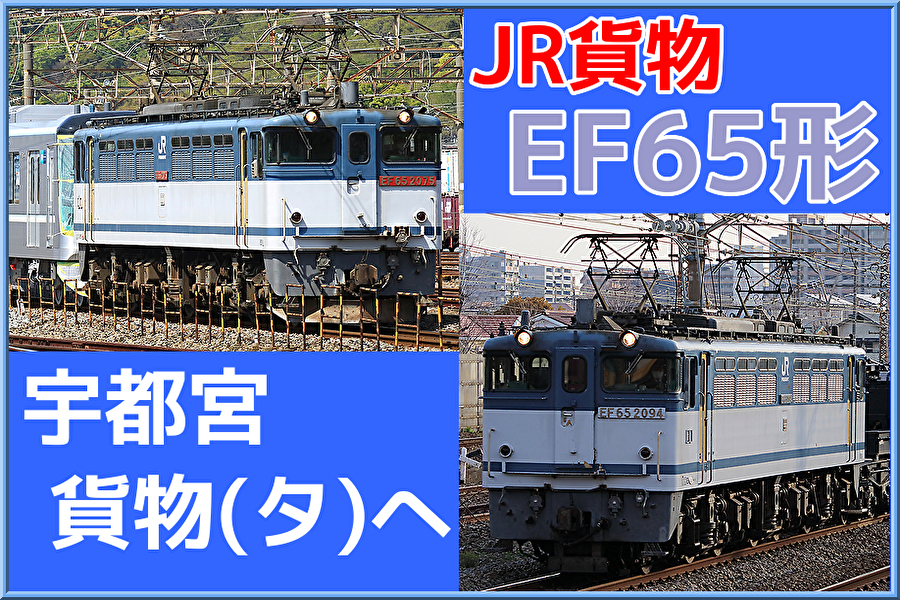 pC5JrfEPqPwLWWO1642763392_1642763973