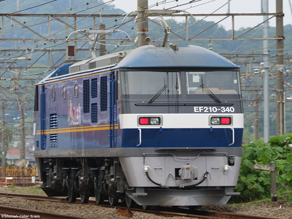 guRUk1dhOrq7imJ1655812745_1655812789