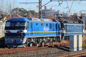 P0sB1tRinJuXMND1608201000_1608201079 (2)