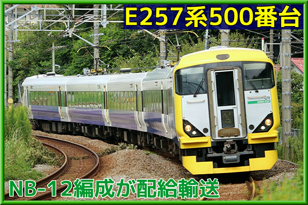 evXiPY0rpcPesRL1640248503_1640248734