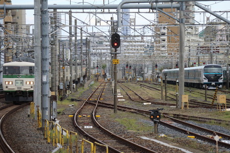 d208d338.jpg
