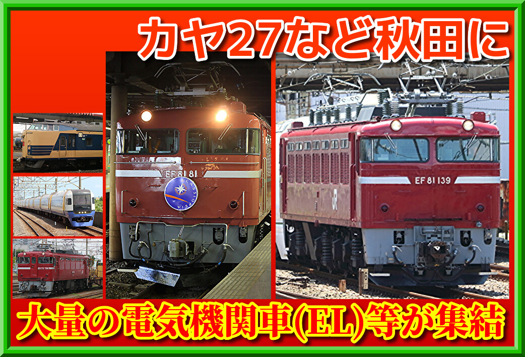元気がでるからだの本 1999秋号 元気がでるからだの本 1999秋号