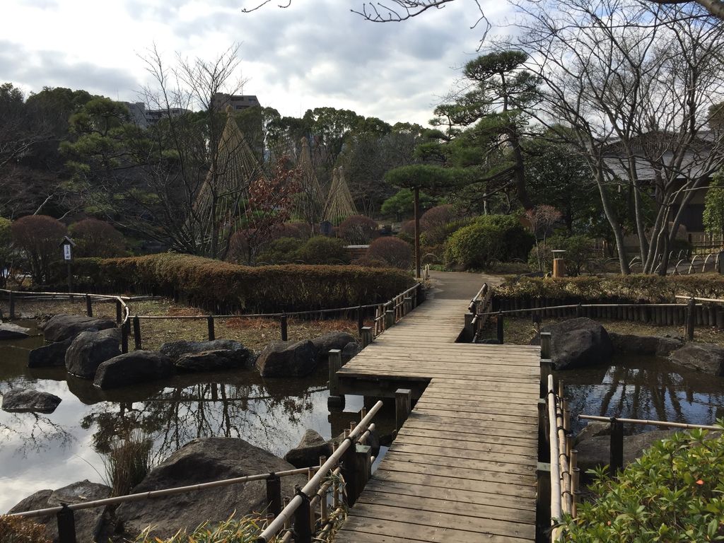葛西臨海公園 水仙まつり 旧街道をロードバイクで ゼロからの挑戦