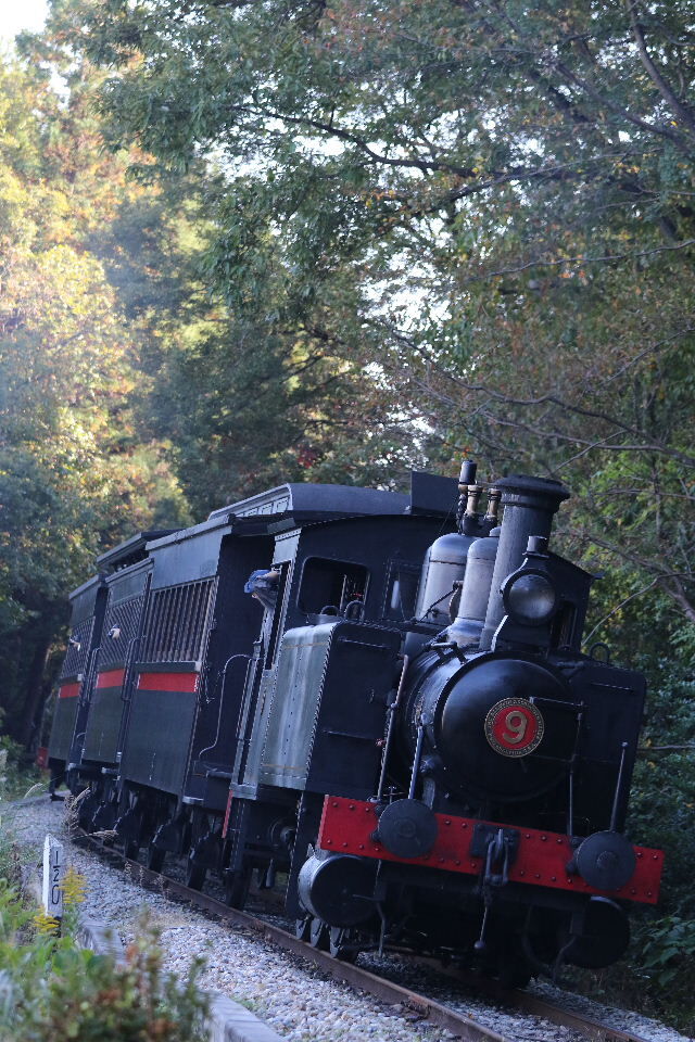 明治村ｓｌ９号 １２号重連 プッシュプル運転 １０月２５日その２ ｔｏｋａｉ ｋｉｄｓ の日本全国旅日記 平成編