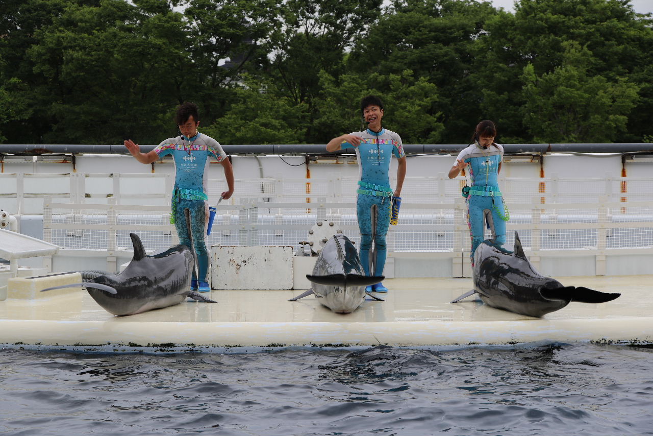 京都水族館 5月20日その2 tokai kids の日本全国旅日記 令和編 京都水族館 5月20日その2 tokai kids の日本全国旅日記 令和編