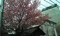 20100315123221蔵前