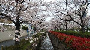 s-IMG_20200328_110832