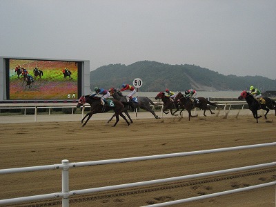 福山競馬場 たび めし うま Blog