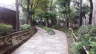 IMG_20151018_111034